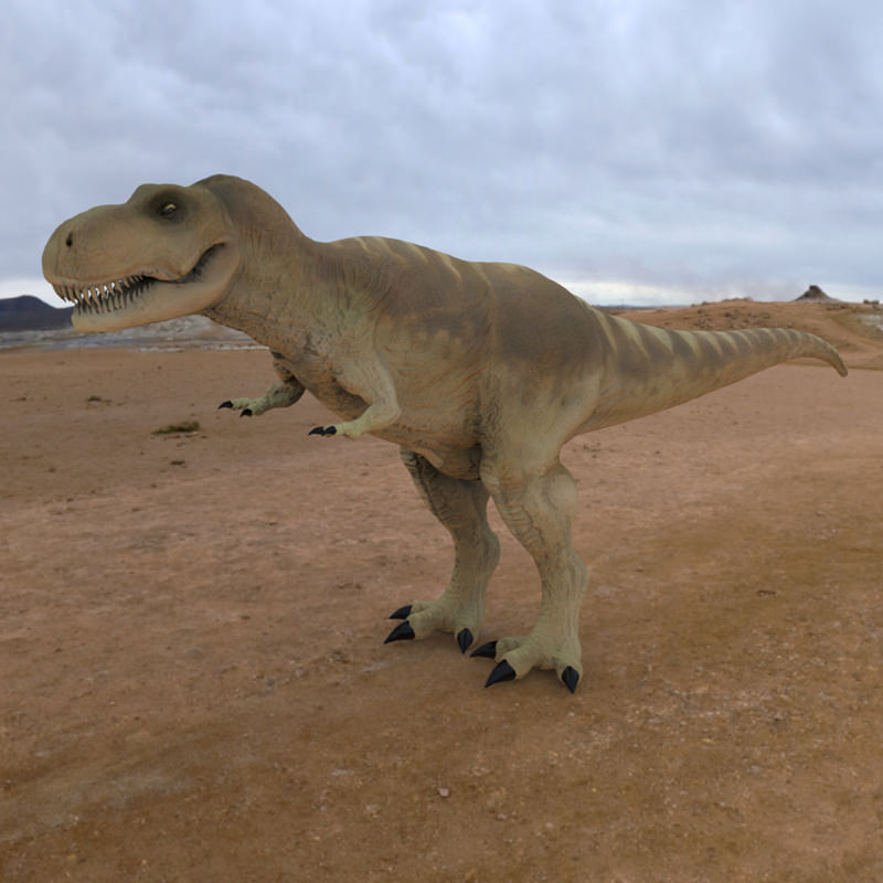 Tyranosaurus Rex 3D model_1