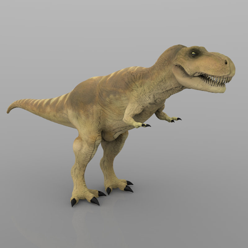 Tyranosaurus Rex 3D model_2