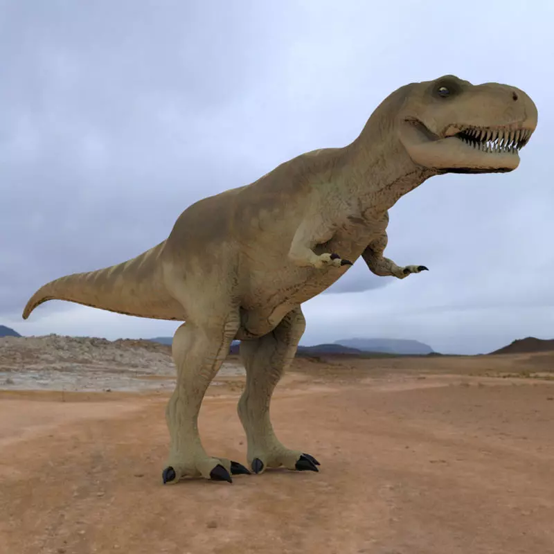 Tyranosaurus Rex 3D model_0