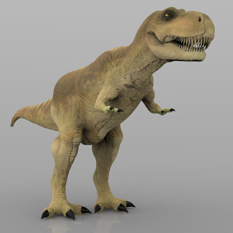 Tyranosaurus Rex 3D model_3