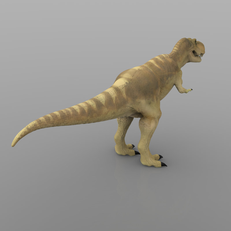 Tyranosaurus Rex 3D model_6