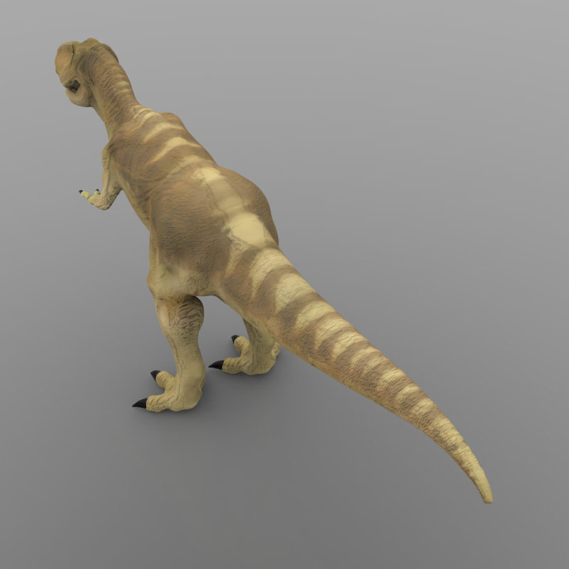 Tyranosaurus Rex 3D model_5