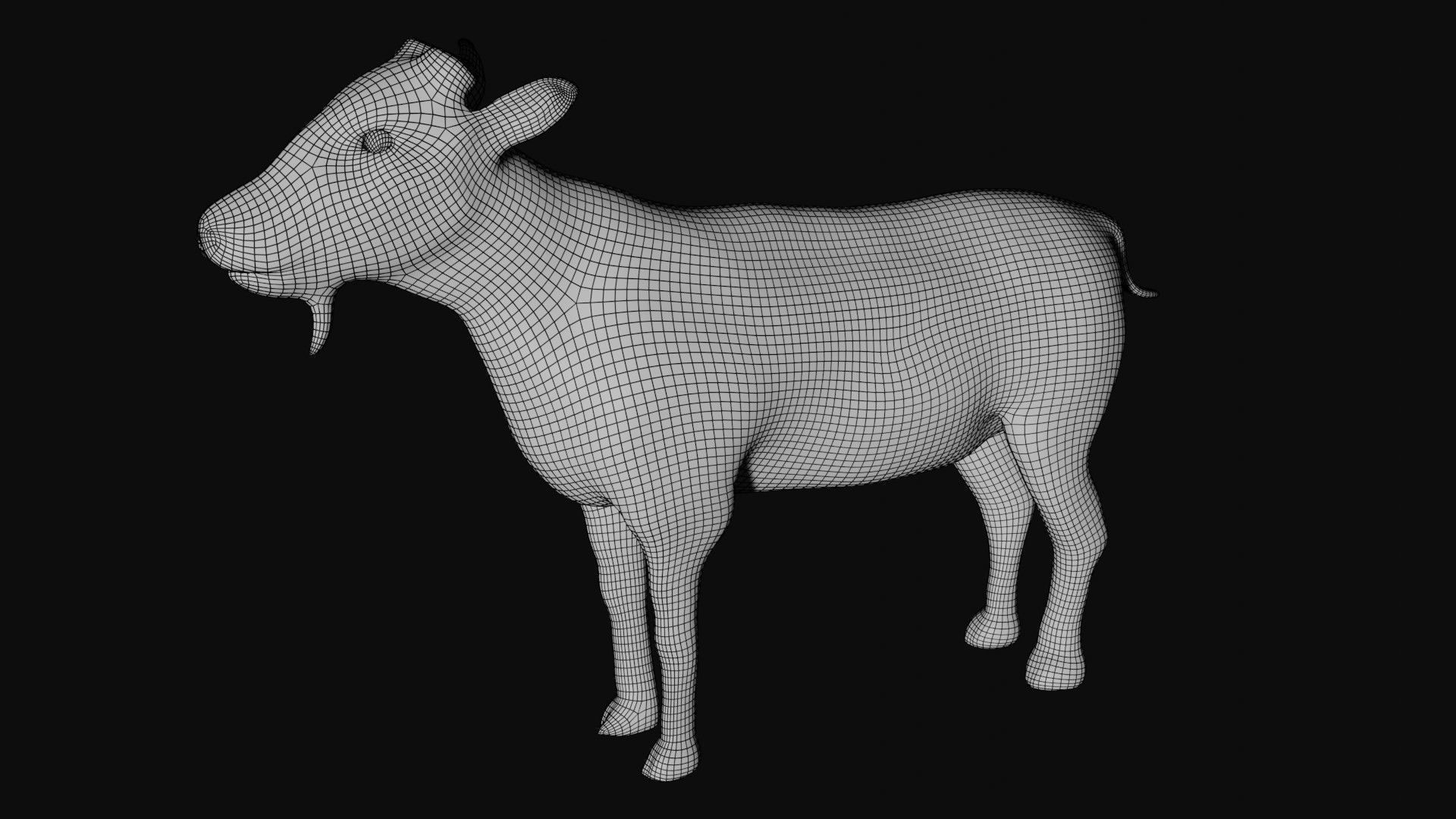 Mountain Goat  3D model_9