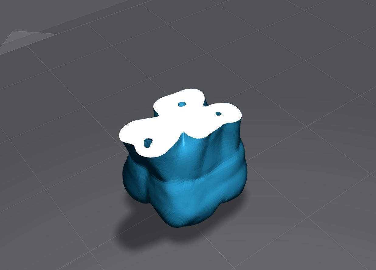 Permanent Teeth with Pulp Cavity 3D print model_13