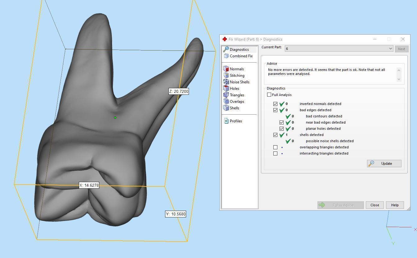 Permanent Teeth with Pulp Cavity 3D print model_10