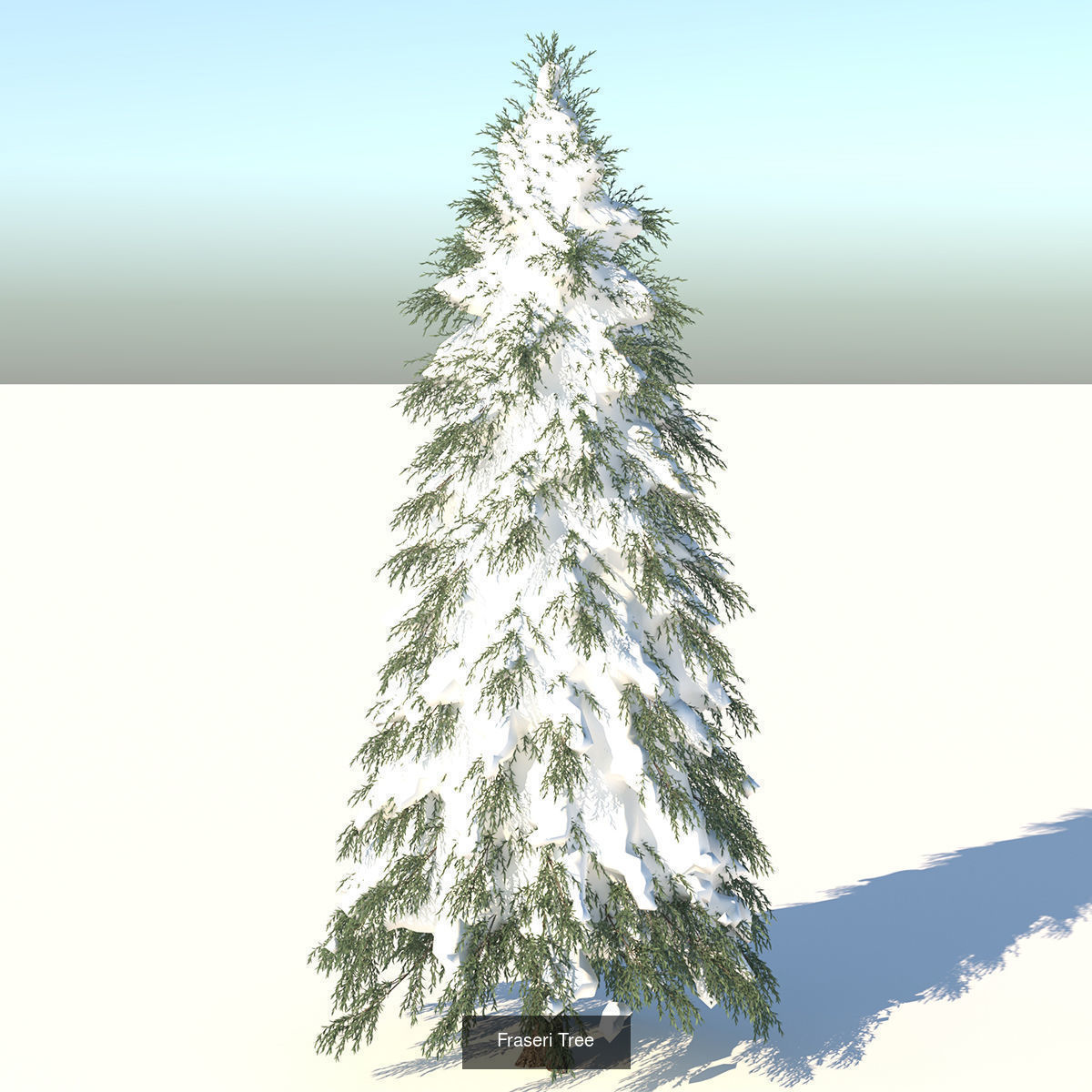 MEGA TREE COLLECITON 40 TREE 3D Model Collection_35