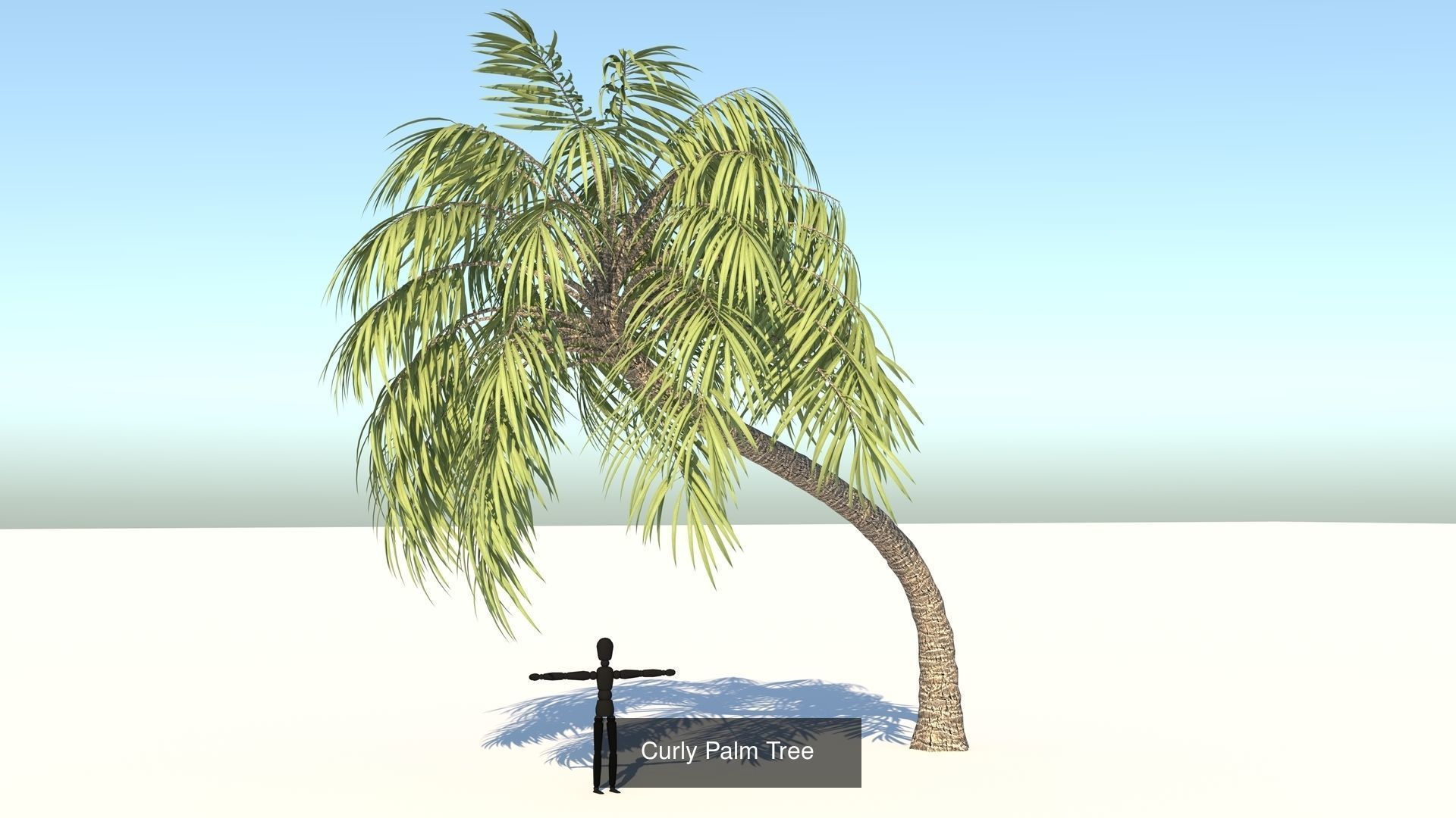 MEGA TREE COLLECITON 40 TREE 3D Model Collection_7