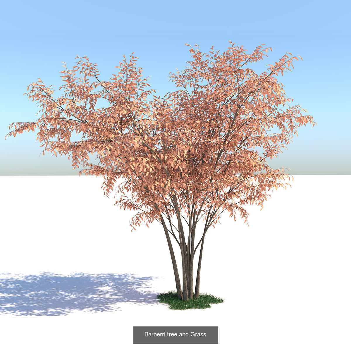 MEGA TREE COLLECITON 40 TREE 3D Model Collection_15