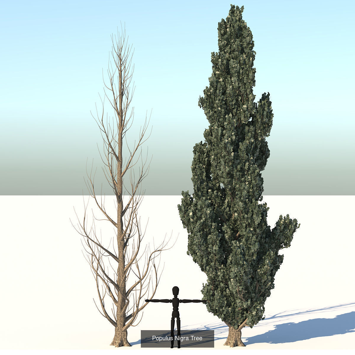 MEGA TREE COLLECITON 40 TREE 3D Model Collection_30