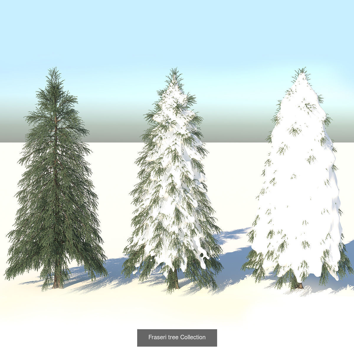 MEGA TREE COLLECITON 40 TREE 3D Model Collection_27