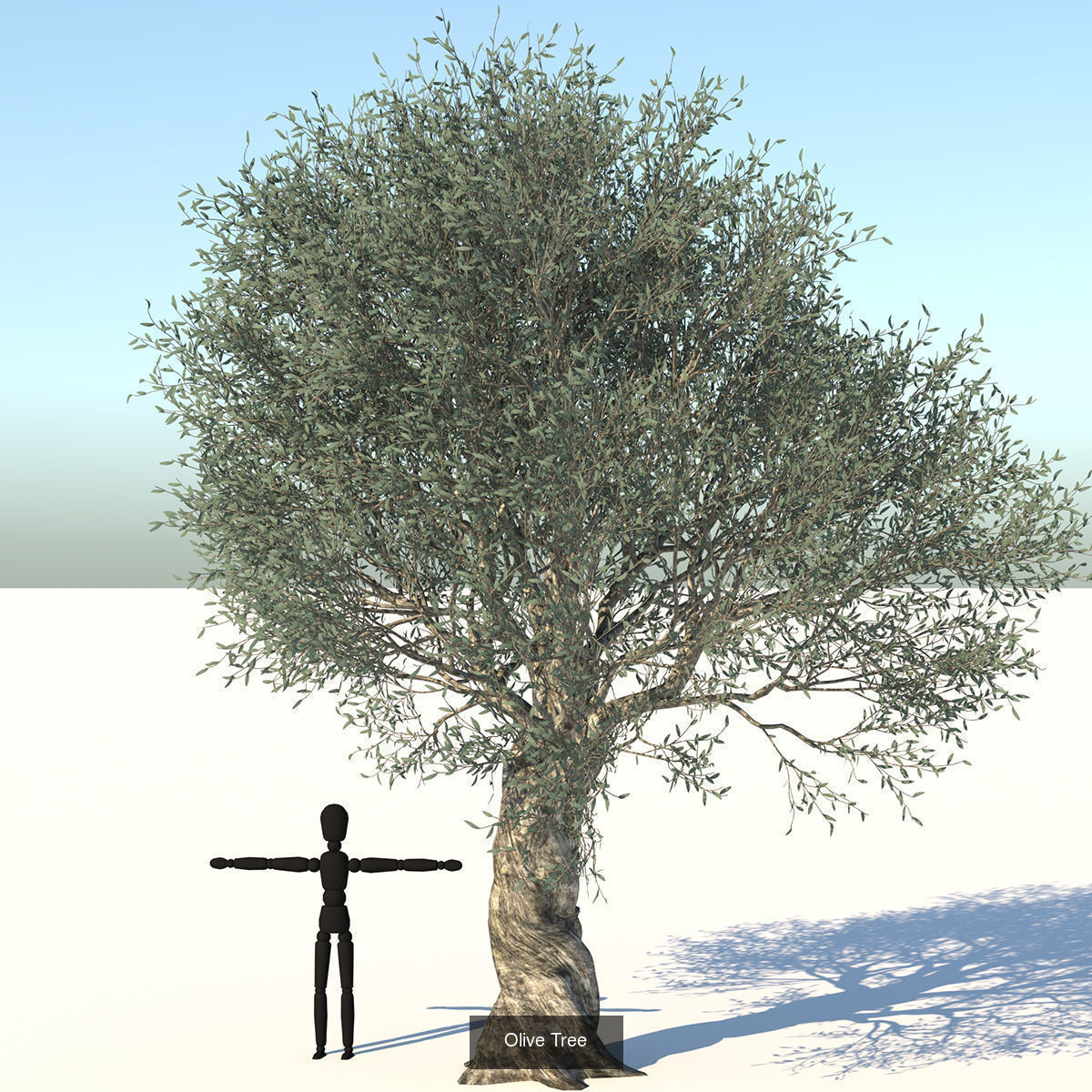MEGA TREE COLLECITON 40 TREE 3D Model Collection_22
