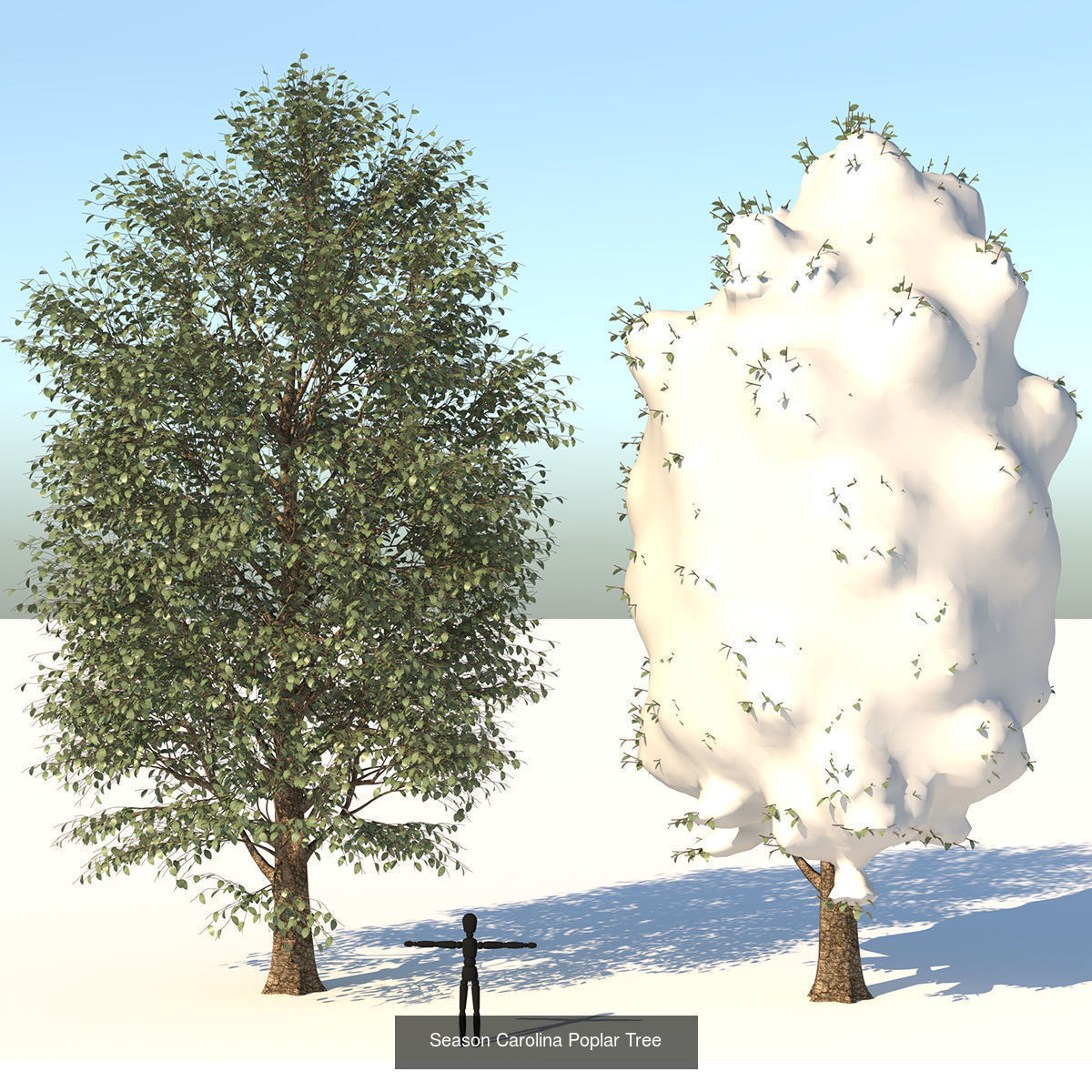 MEGA TREE COLLECITON 40 TREE 3D Model Collection_17