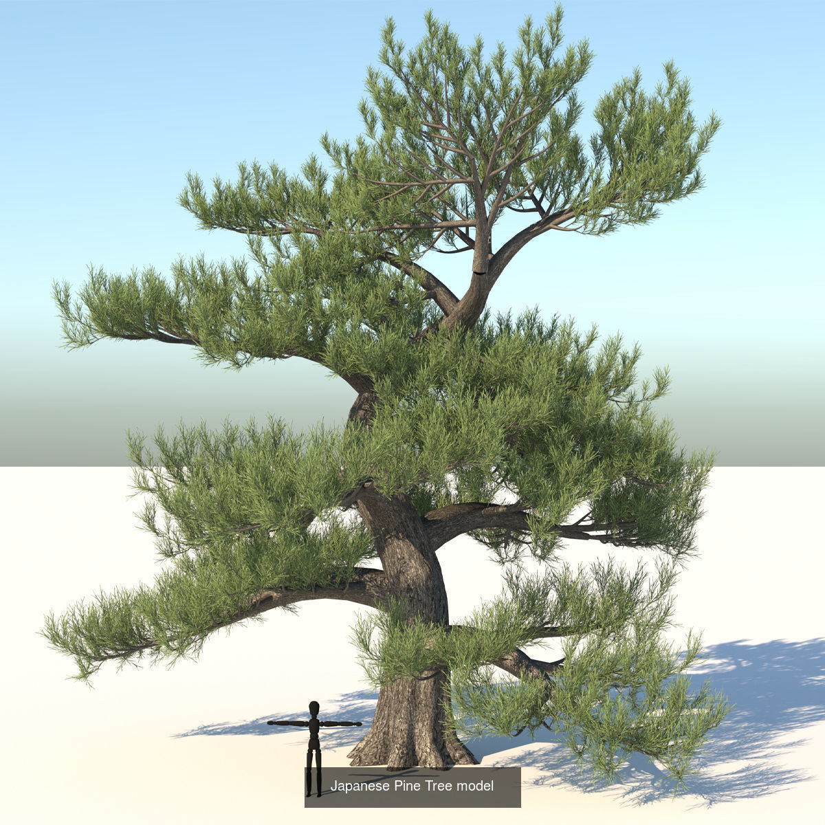 MEGA TREE COLLECITON 40 TREE 3D Model Collection_21