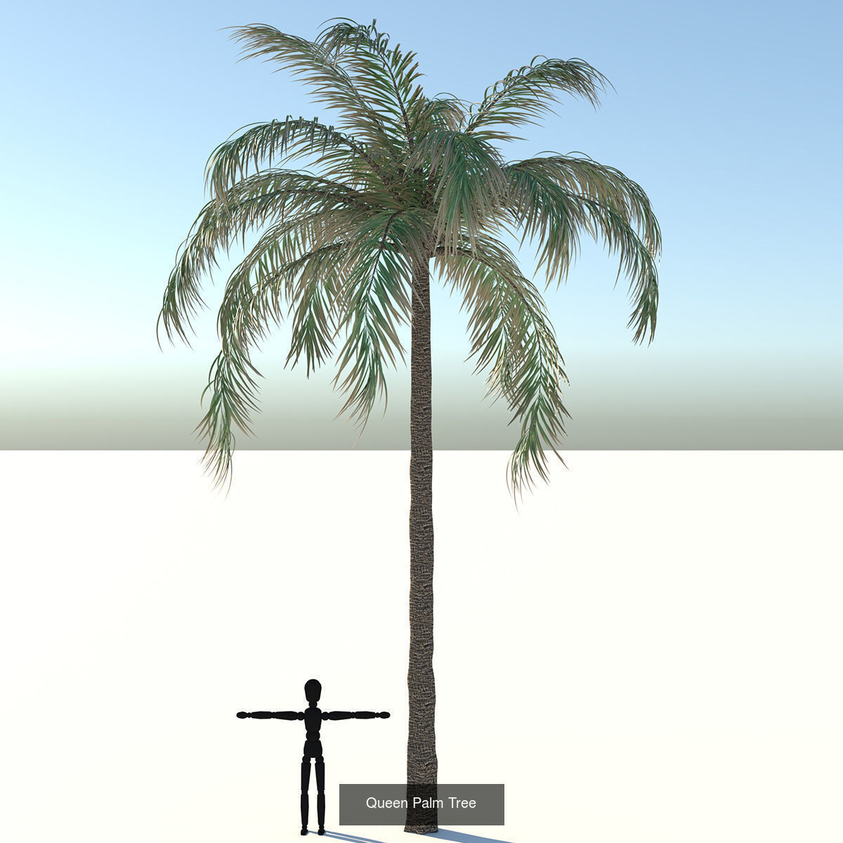 MEGA TREE COLLECITON 40 TREE 3D Model Collection_25