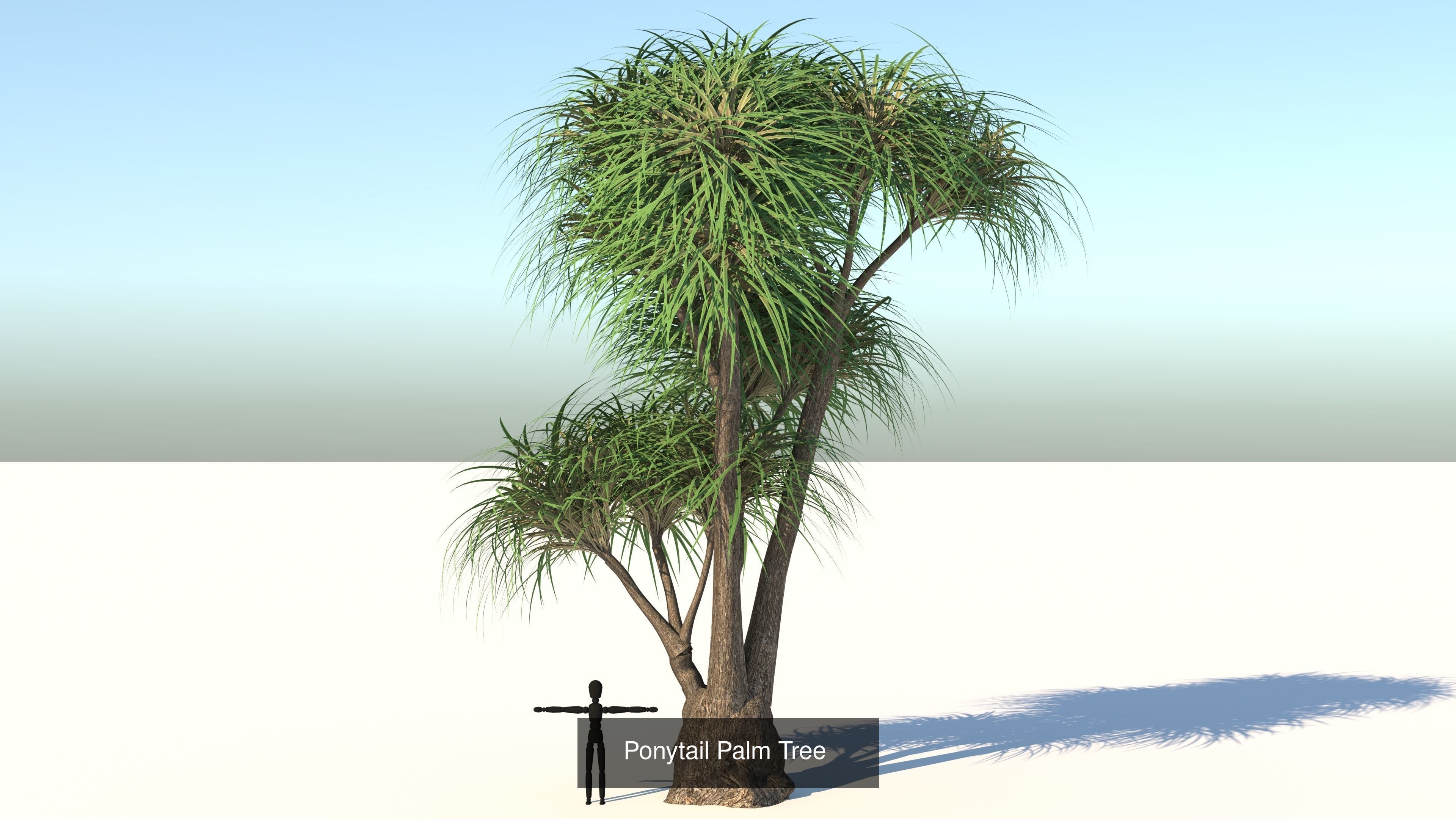 MEGA TREE COLLECITON 40 TREE 3D Model Collection_31