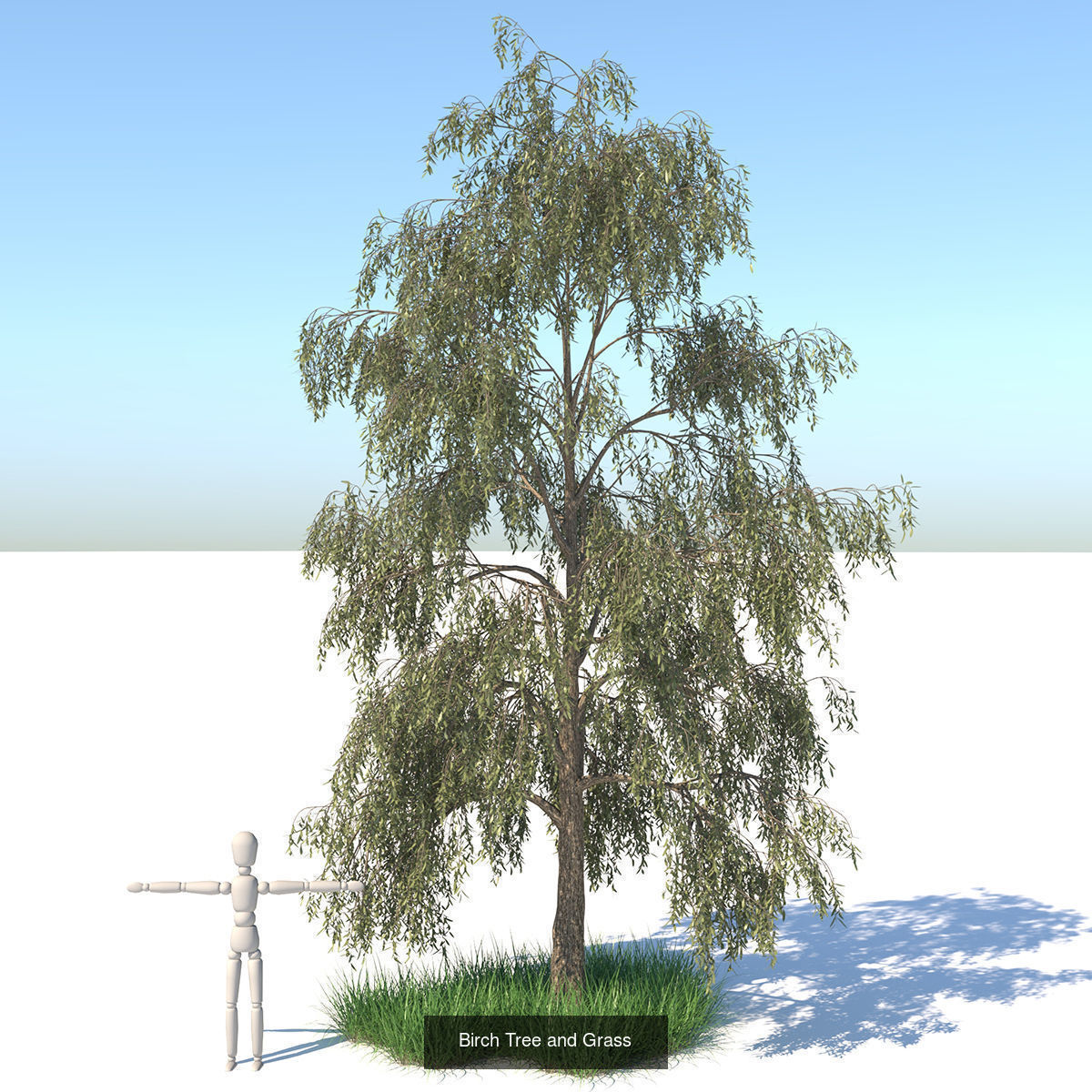 MEGA TREE COLLECITON 40 TREE 3D Model Collection_16