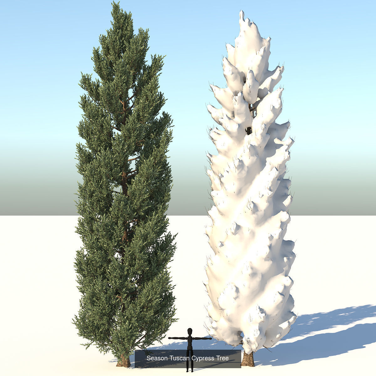 MEGA TREE COLLECITON 40 TREE 3D Model Collection_11