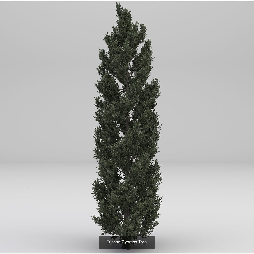 MEGA TREE COLLECITON 40 TREE 3D Model Collection_19