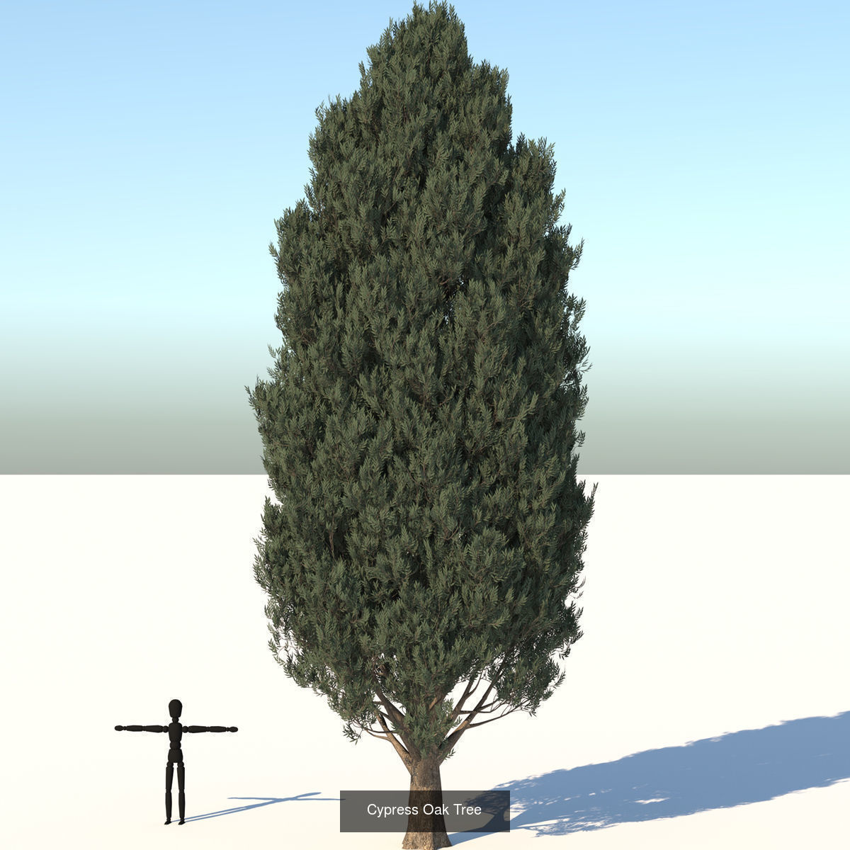 MEGA TREE COLLECITON 40 TREE 3D Model Collection_9