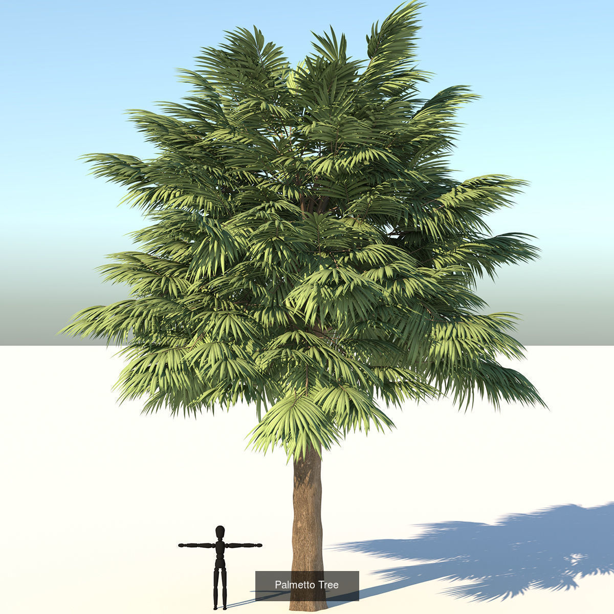 MEGA TREE COLLECITON 40 TREE 3D Model Collection_23