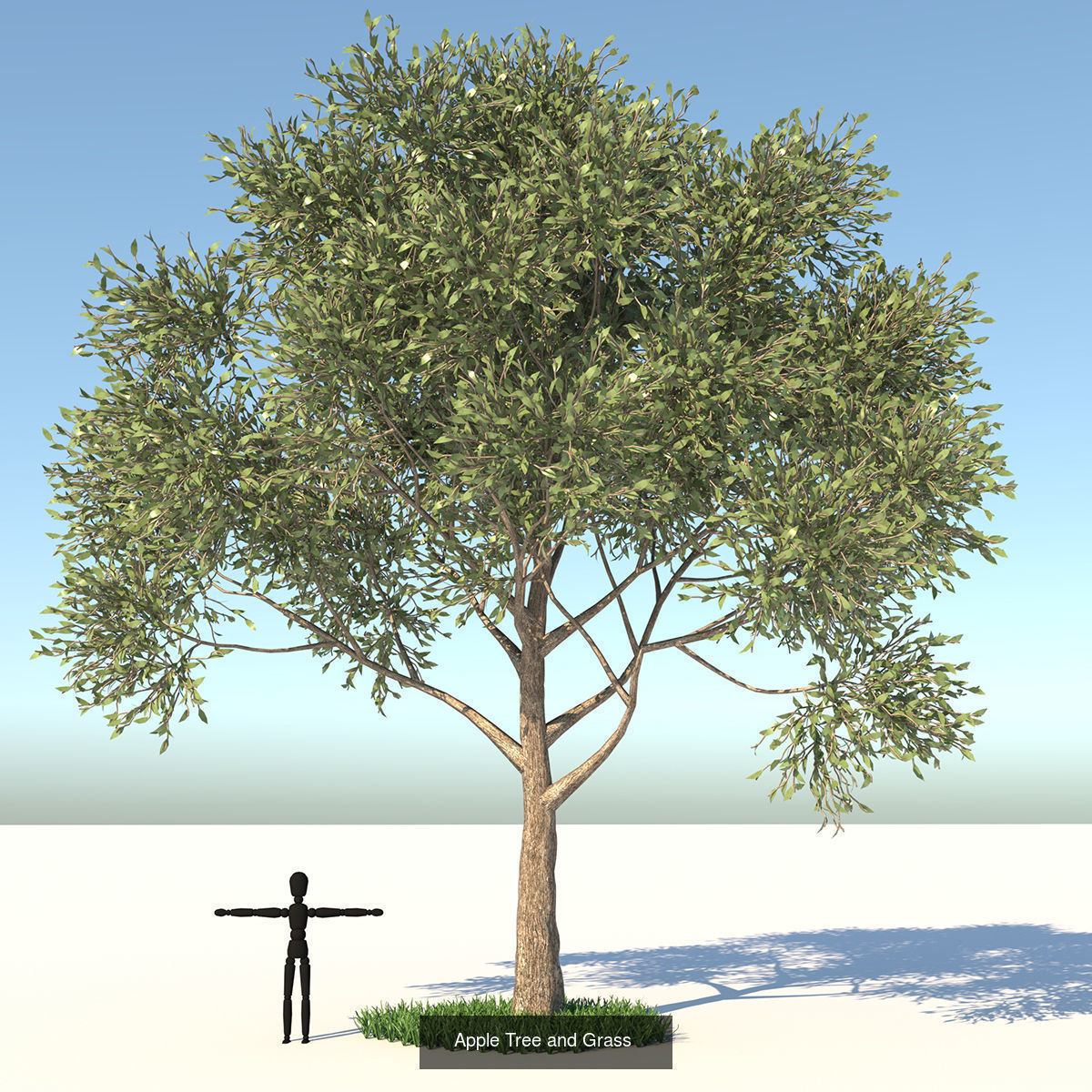 MEGA TREE COLLECITON 40 TREE 3D Model Collection_28