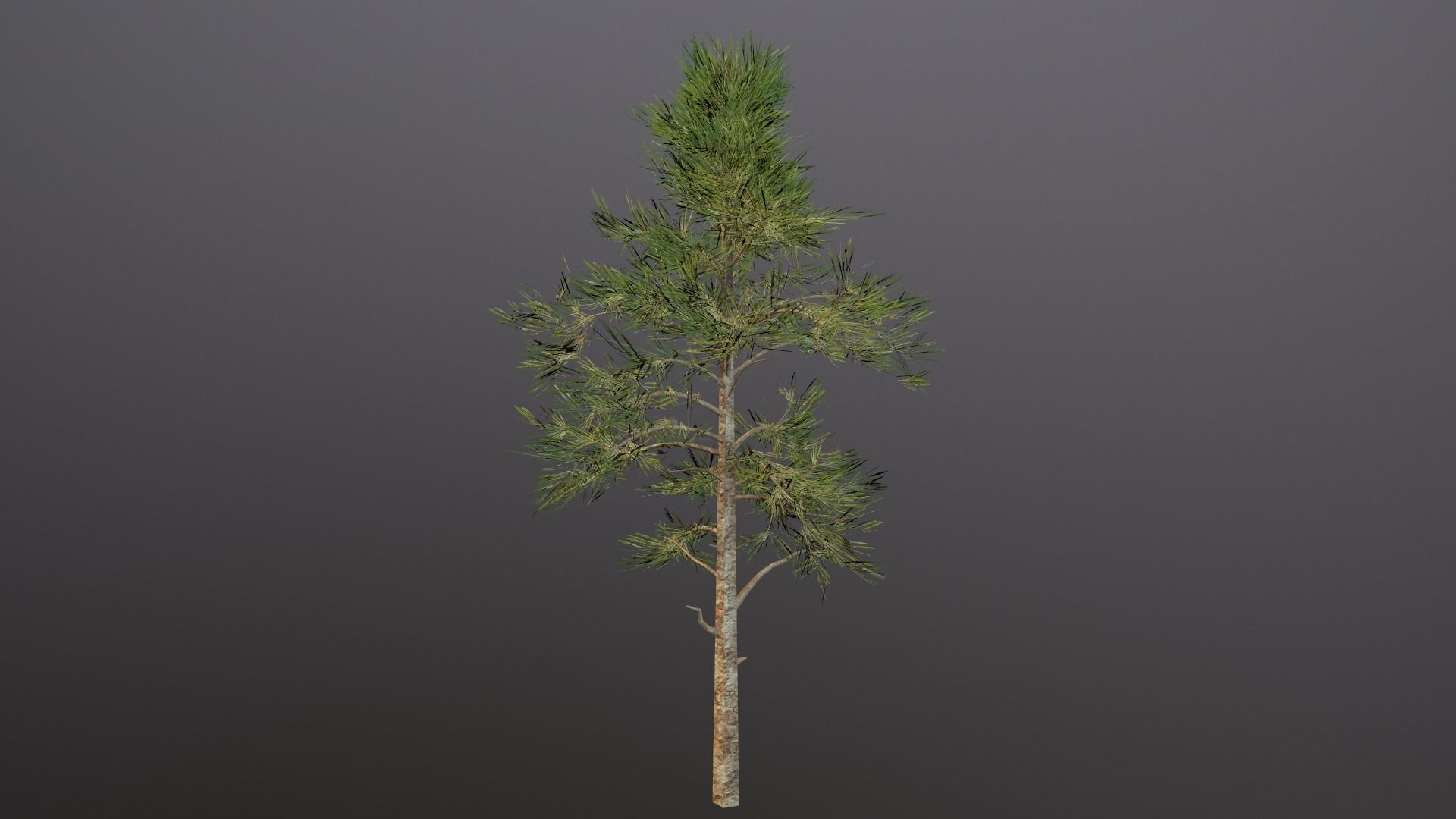 Seraphim Graveyard Kit Low-poly 3D model_13