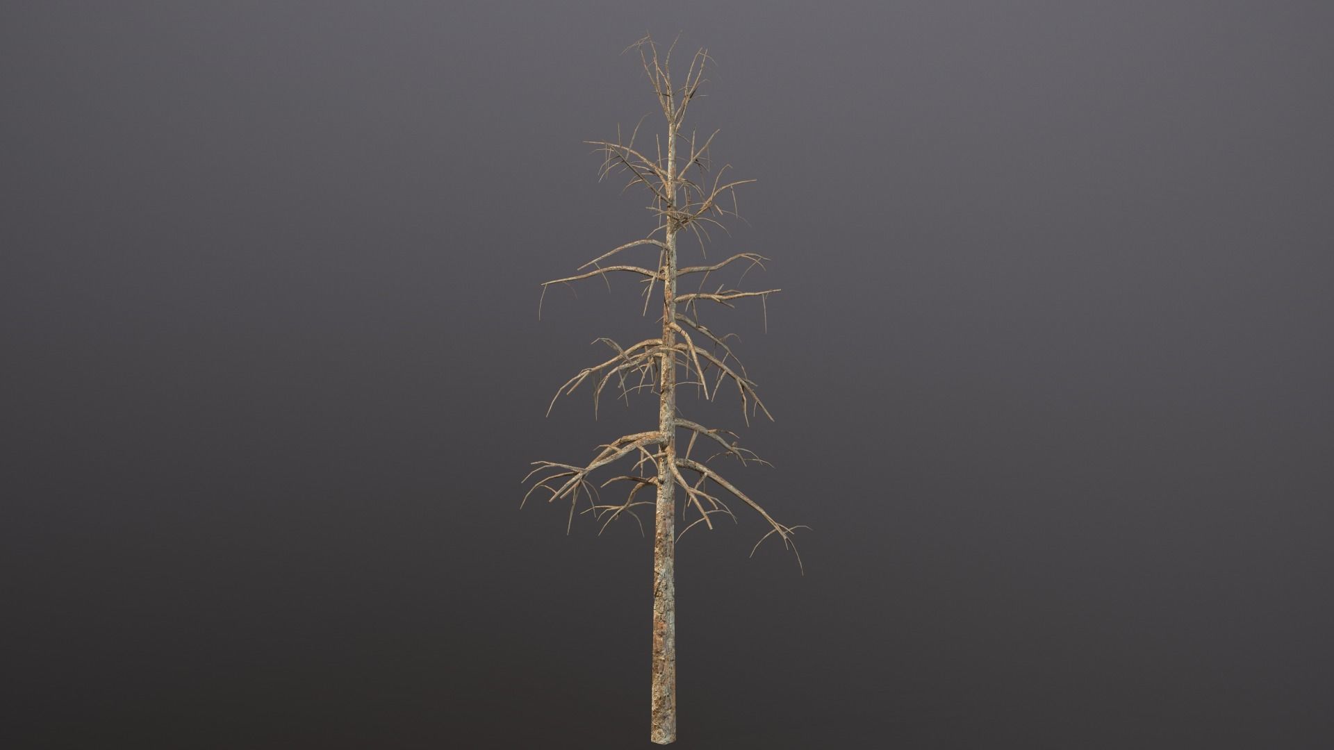 Seraphim Graveyard Kit Low-poly 3D model_10