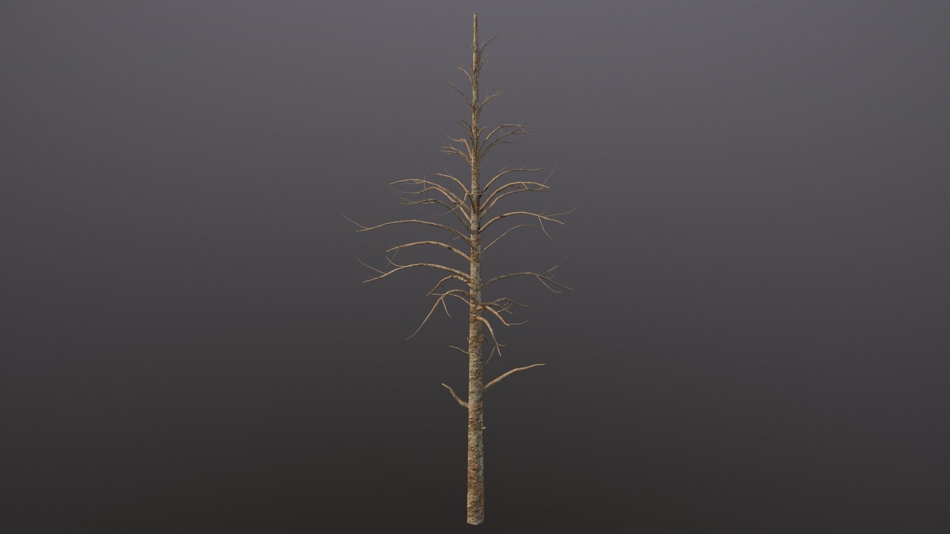 Seraphim Graveyard Kit Low-poly 3D model_12