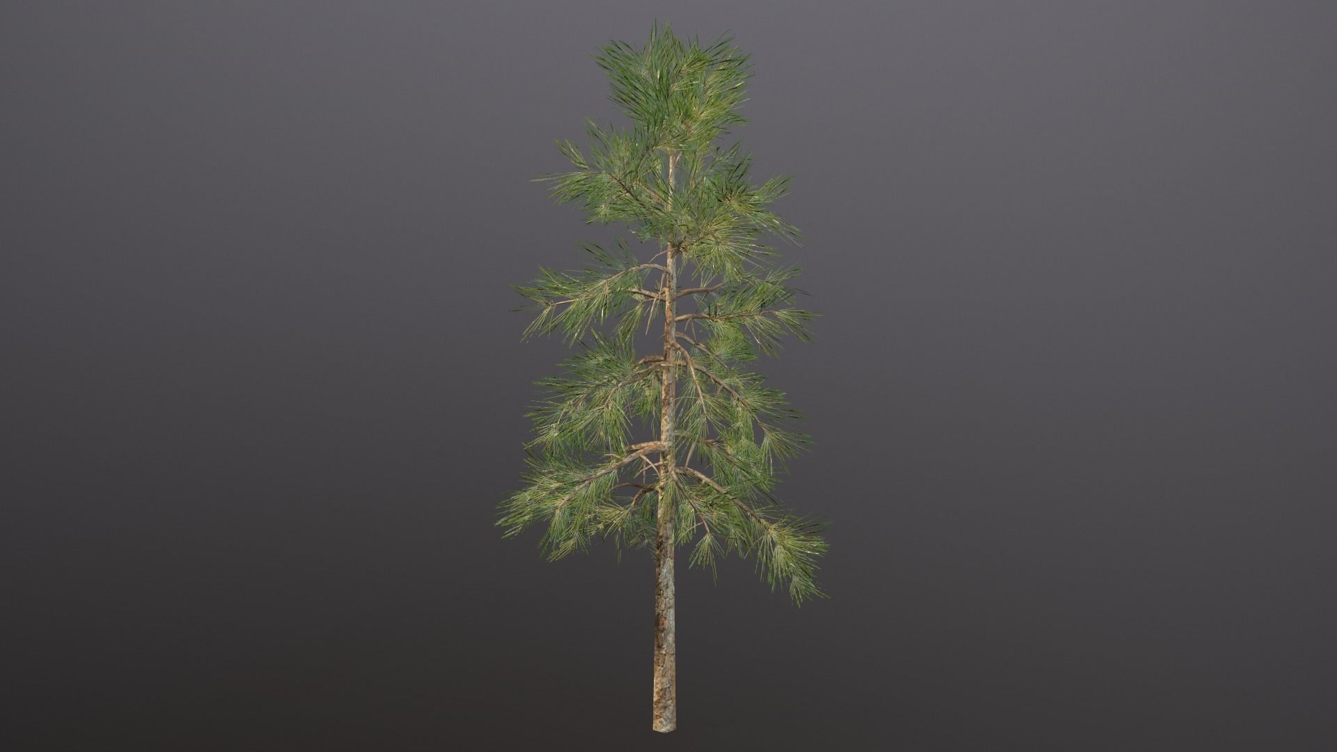 Seraphim Graveyard Kit Low-poly 3D model_9