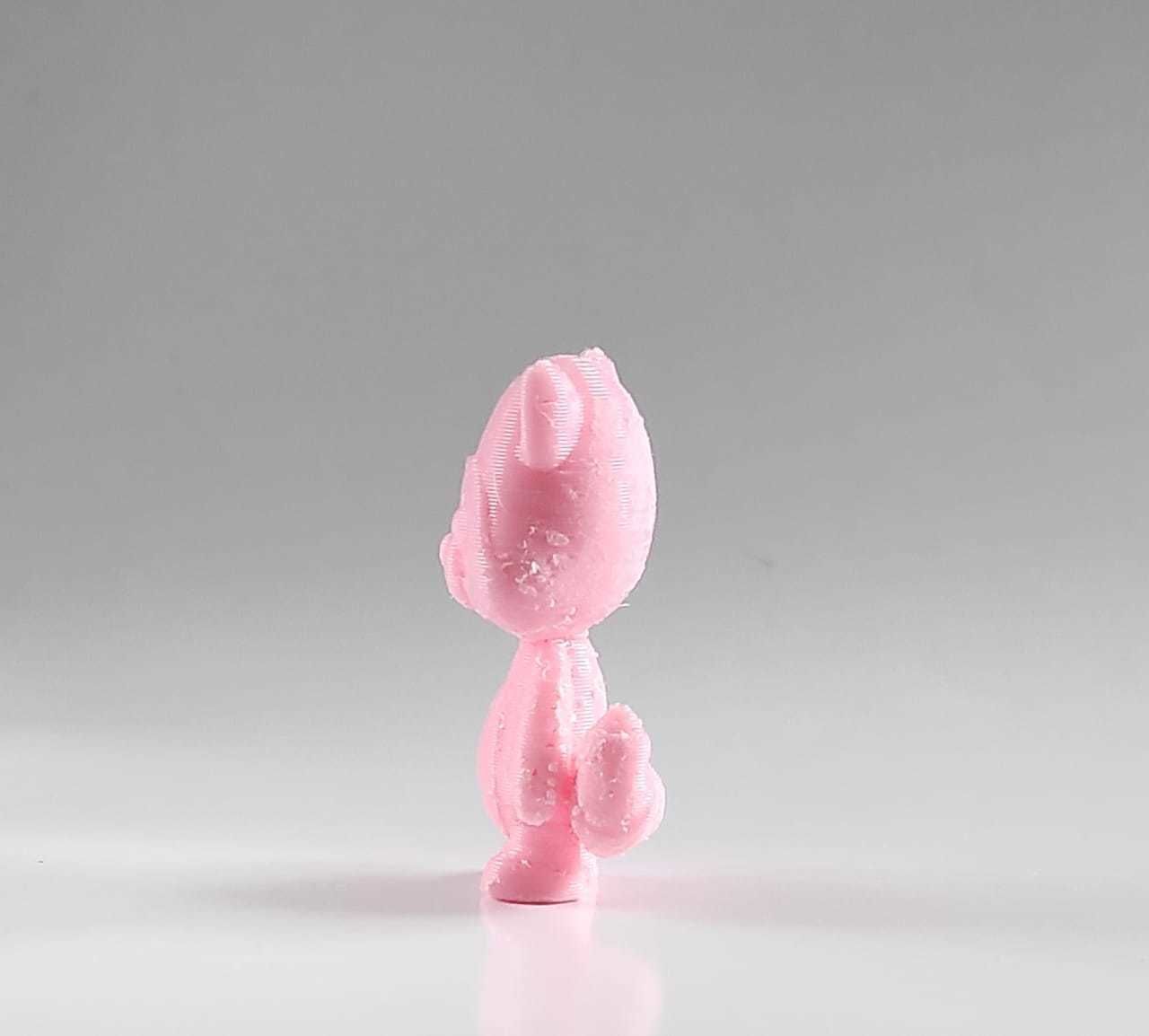 Raccoon Toy 3D print model_4