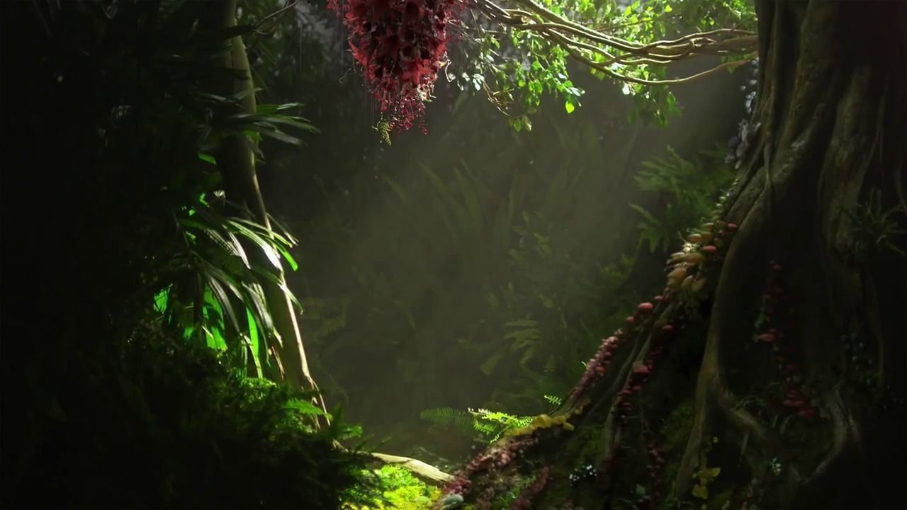 Humming  Bird Mesh 3D model_1