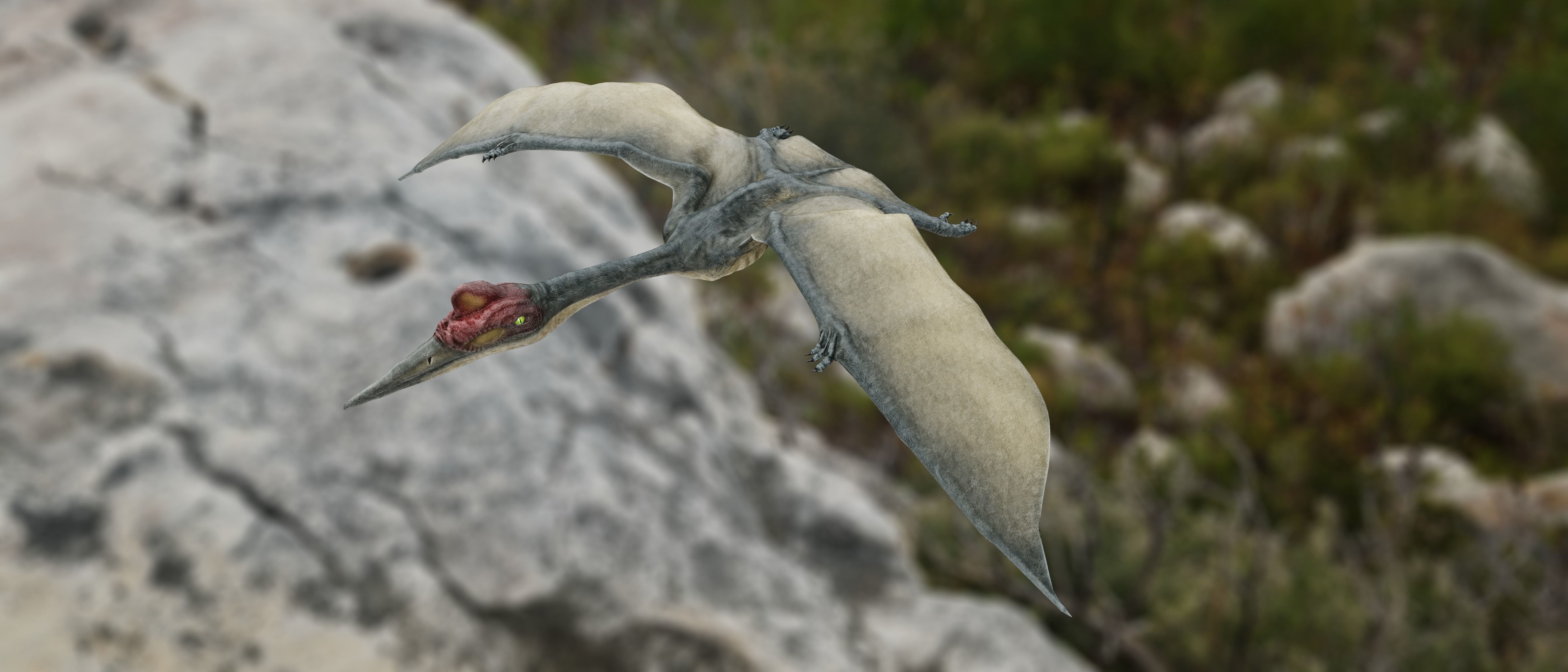 Quetzalcoatlus - Cretaceous Pterosaur Flying Reptile Low-poly 3D model_18