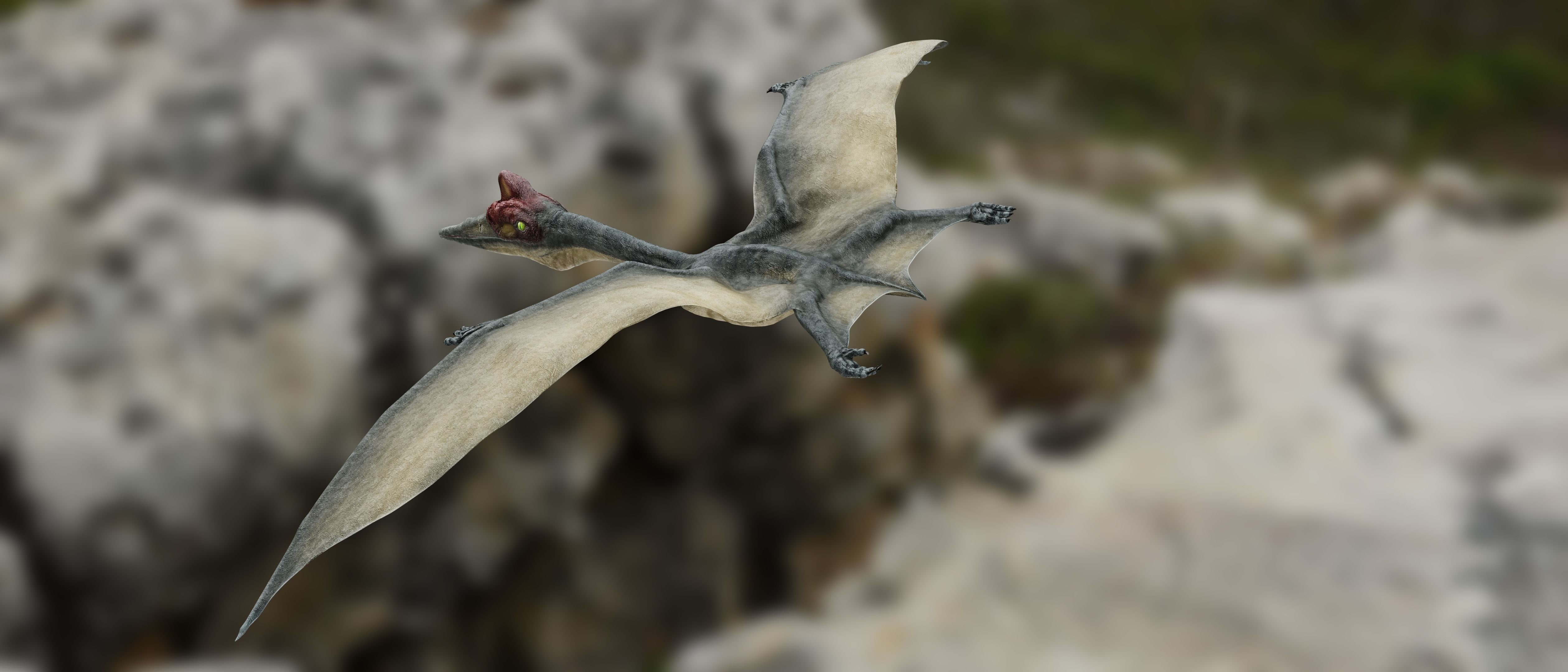 Quetzalcoatlus - Cretaceous Pterosaur Flying Reptile Low-poly 3D model_16