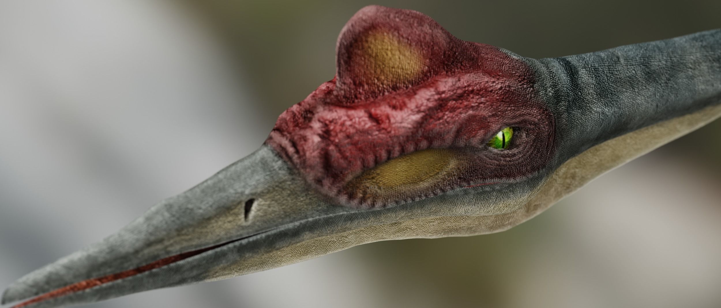 Quetzalcoatlus - Cretaceous Pterosaur Flying Reptile Low-poly 3D model_7