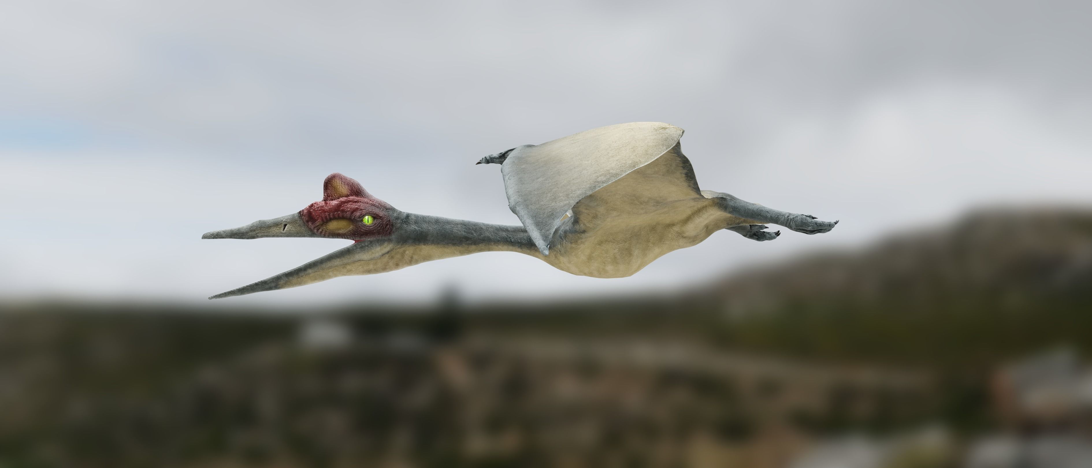 Quetzalcoatlus - Cretaceous Pterosaur Flying Reptile Low-poly 3D model_9