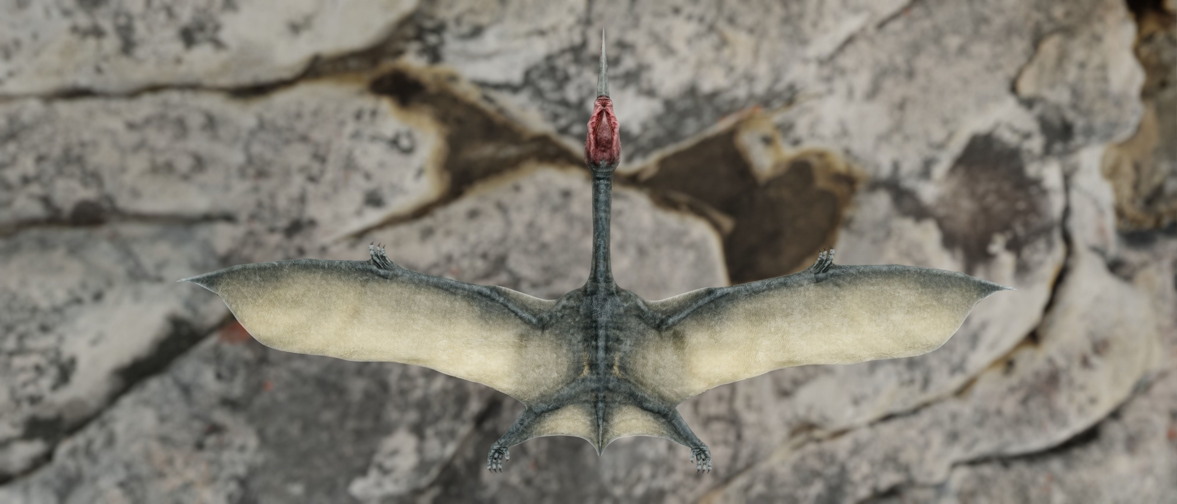 Quetzalcoatlus - Cretaceous Pterosaur Flying Reptile Low-poly 3D model_2