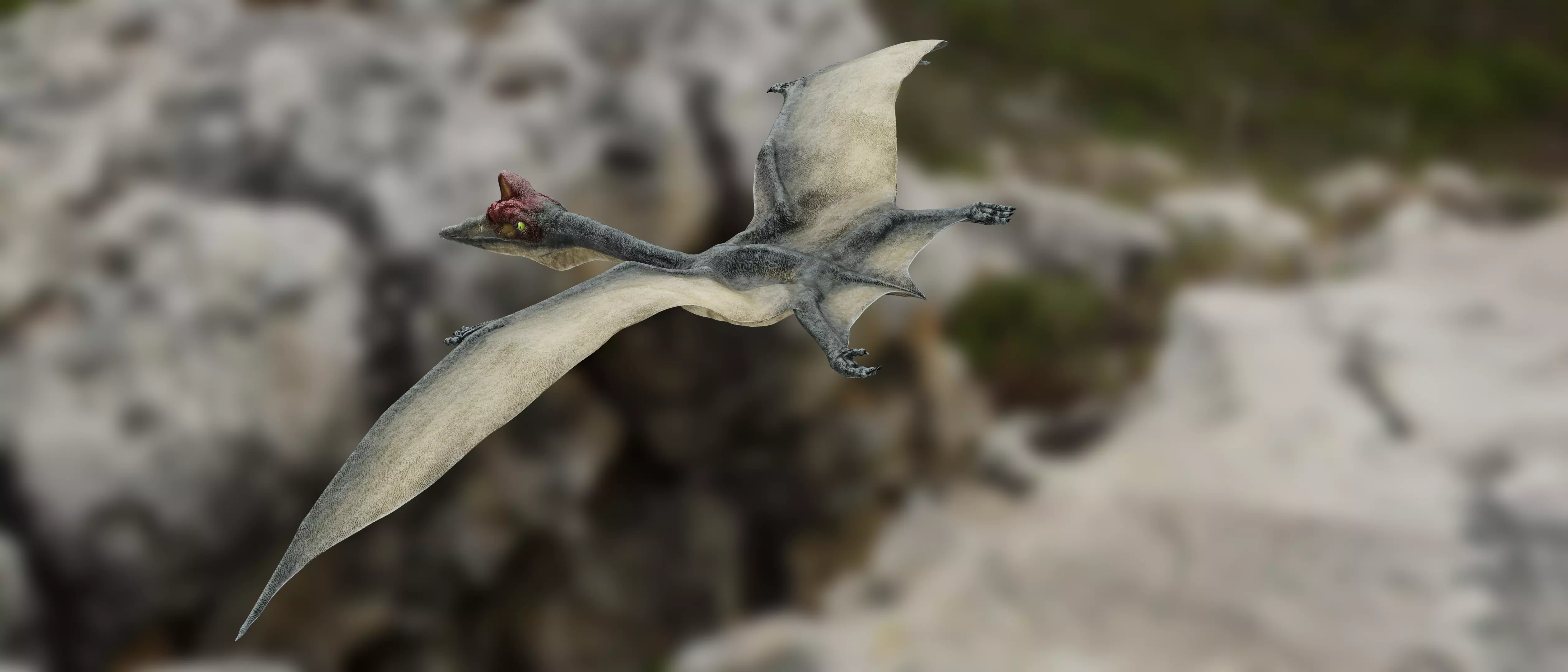 Quetzalcoatlus - Cretaceous Pterosaur Flying Reptile Low-poly 3D model_0