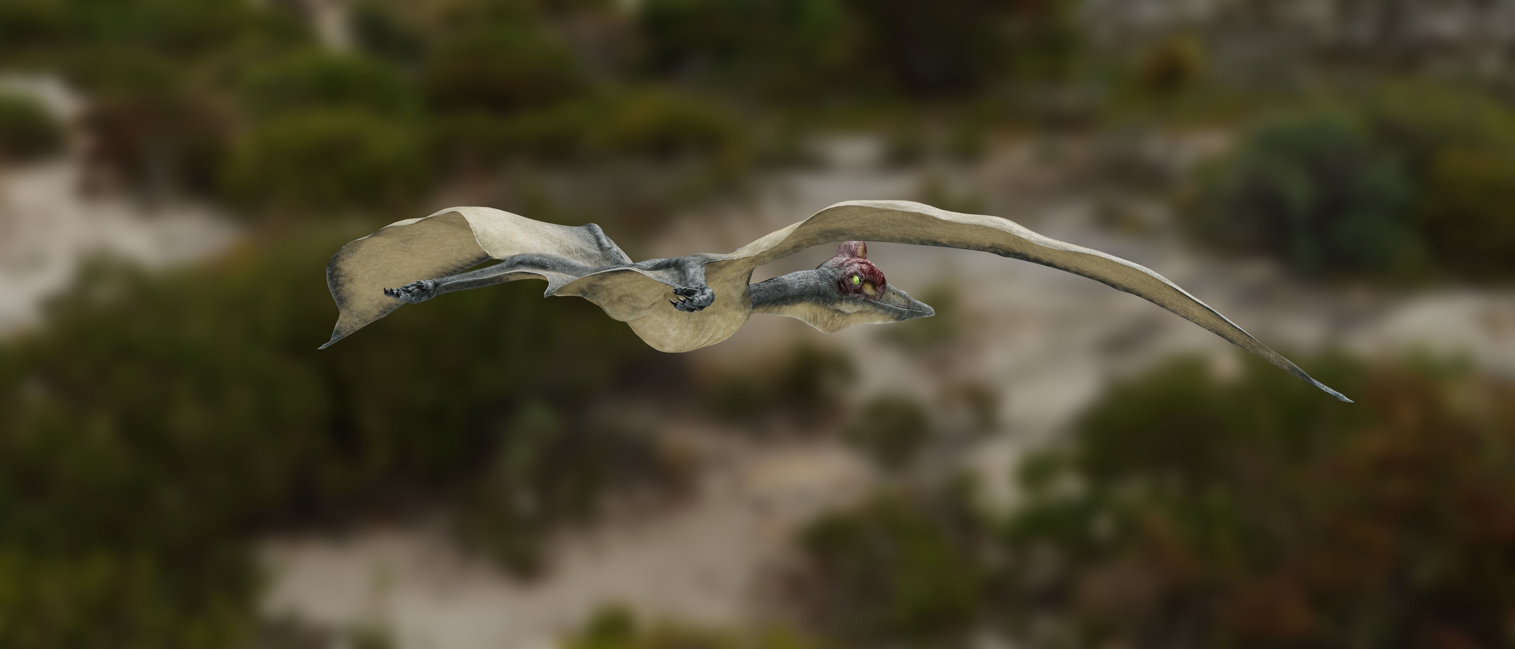 Quetzalcoatlus - Cretaceous Pterosaur Flying Reptile Low-poly 3D model_11