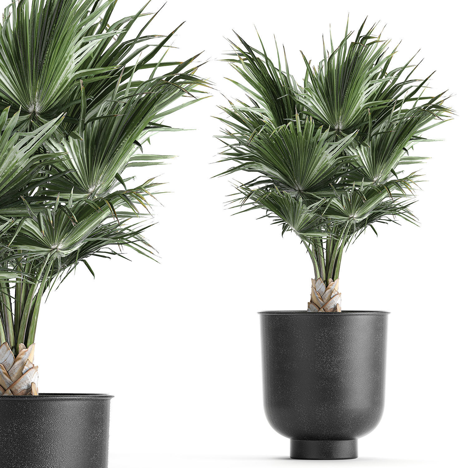 Decorative palm in a Vig Planter flowerpot 837 3D model_1