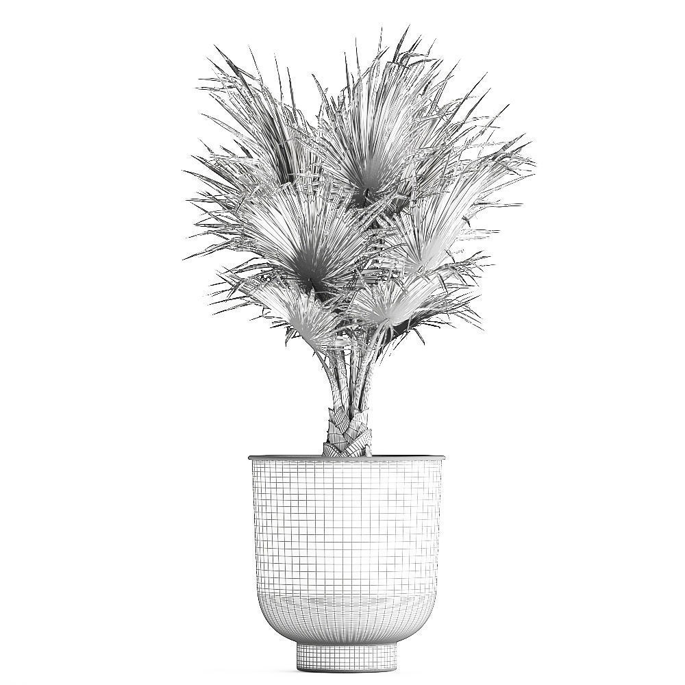 Decorative palm in a Vig Planter flowerpot 837 3D model_6