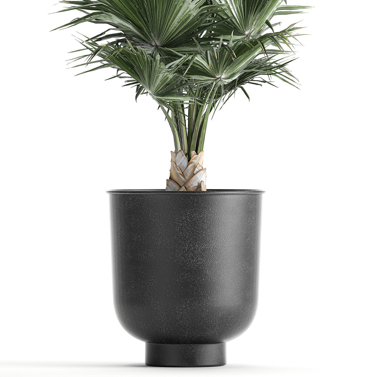 Decorative palm in a Vig Planter flowerpot 837 3D model_3