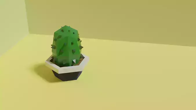 Cactus in pot