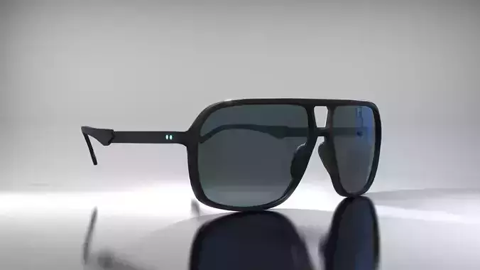 Carrera  Polarized  Mens Sunglass