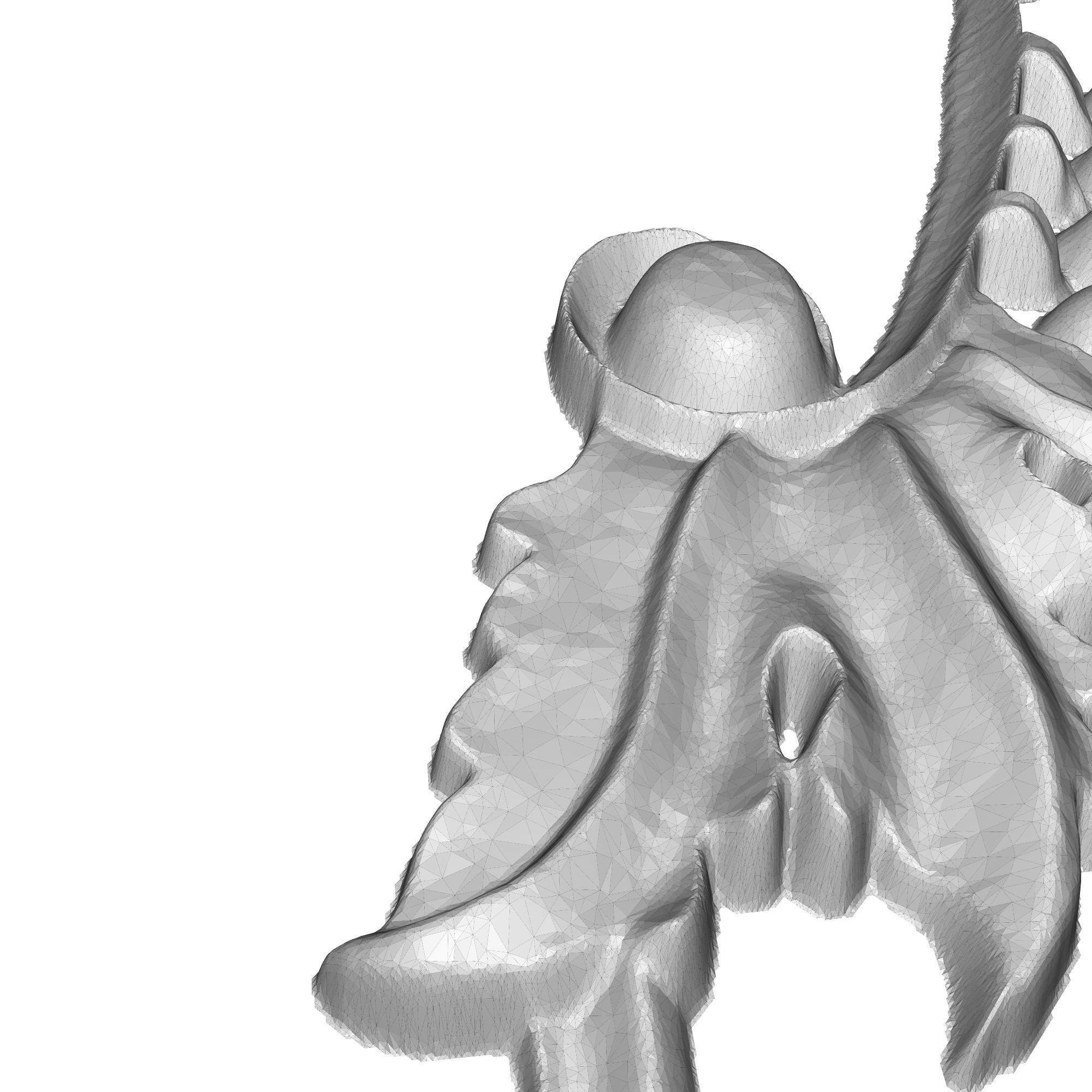 decorative pattern ready for 3D printing 3D model_7