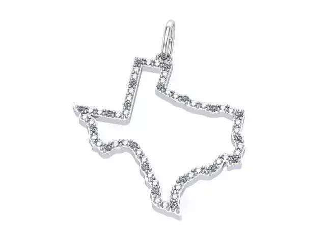 Empty Texas Earring