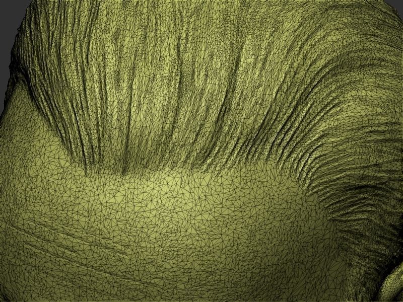 Narendra Modi Bust Gray 3D print model_26