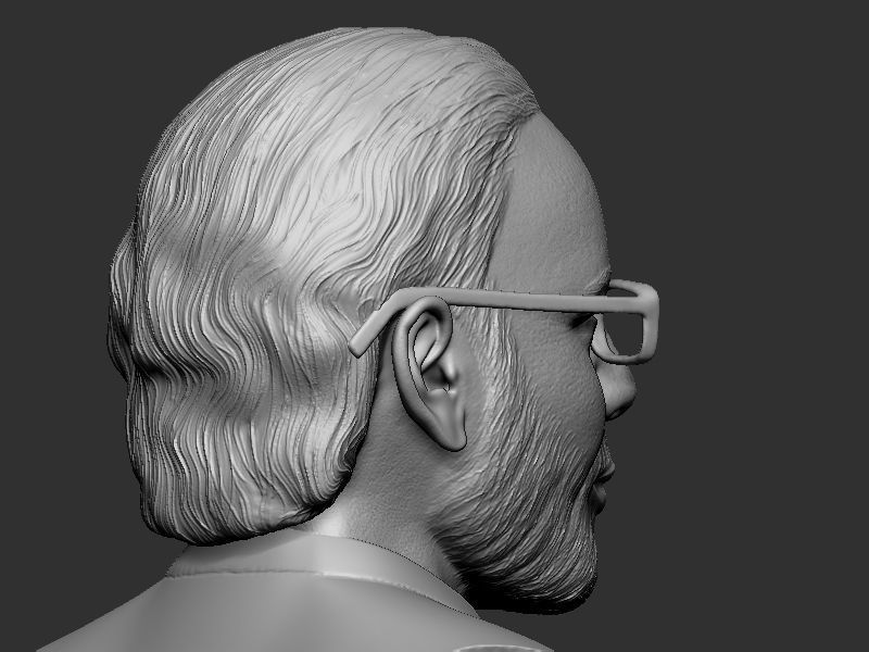 Narendra Modi Bust Gray 3D print model_20
