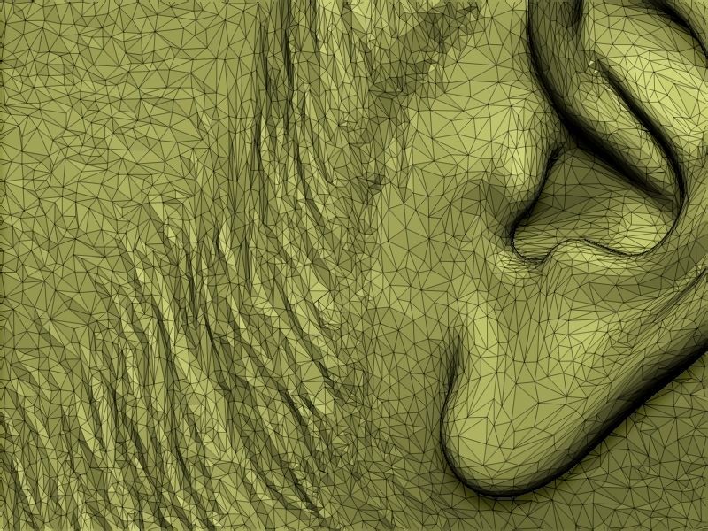 Narendra Modi Bust Gray 3D print model_25