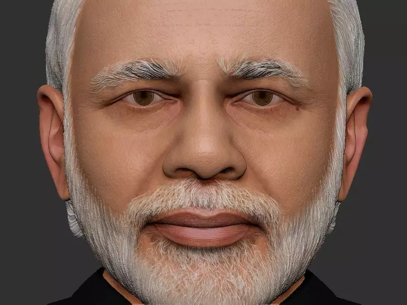 Narendra Modi Bust Gray 3D print model_0
