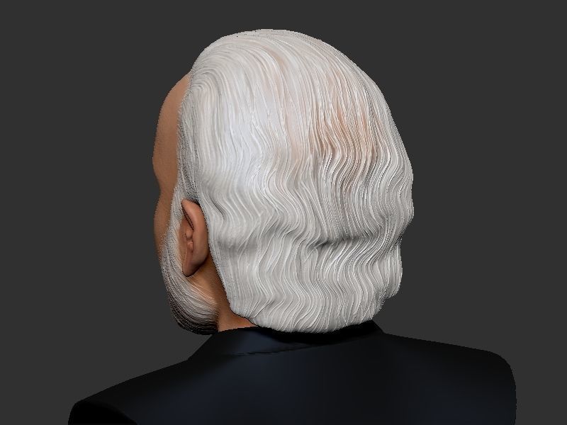 Narendra Modi Bust Gray 3D print model_8